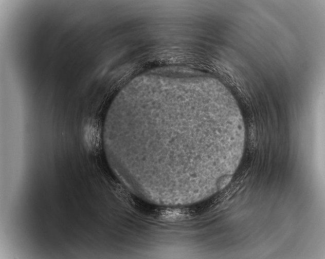 X0000095930177200802081224