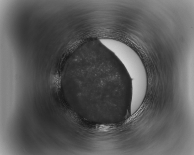 X0000095930180200802081224