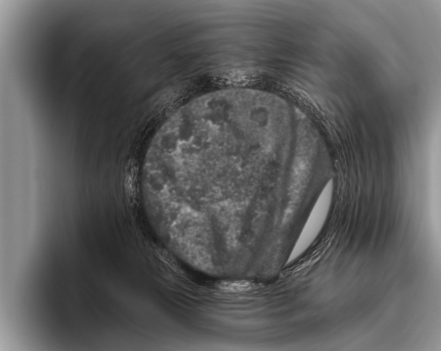 X0000095930181200802081224