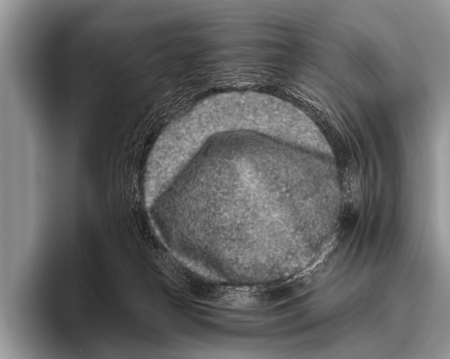 X0000095930182200802081224