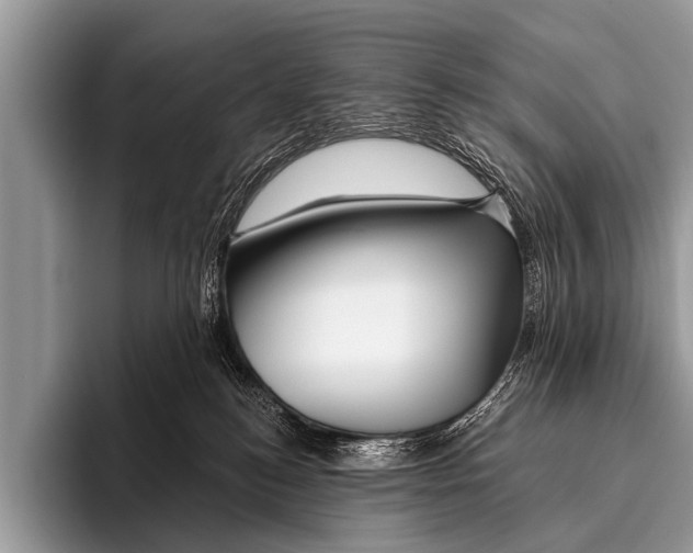 X0000095930184200802081224
