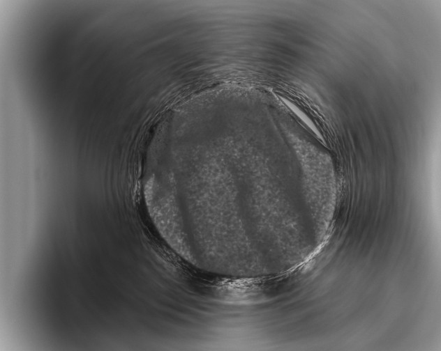 X0000095930186200802081224