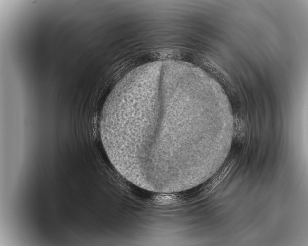 X0000095930189200802081224