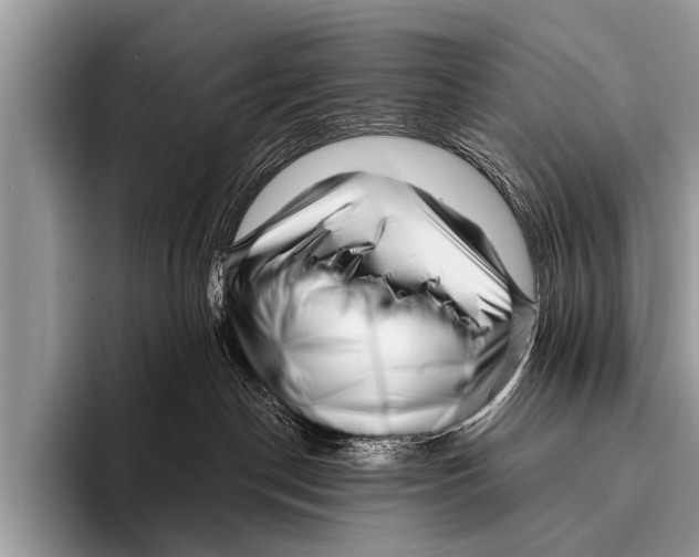 X0000095930190200802081224