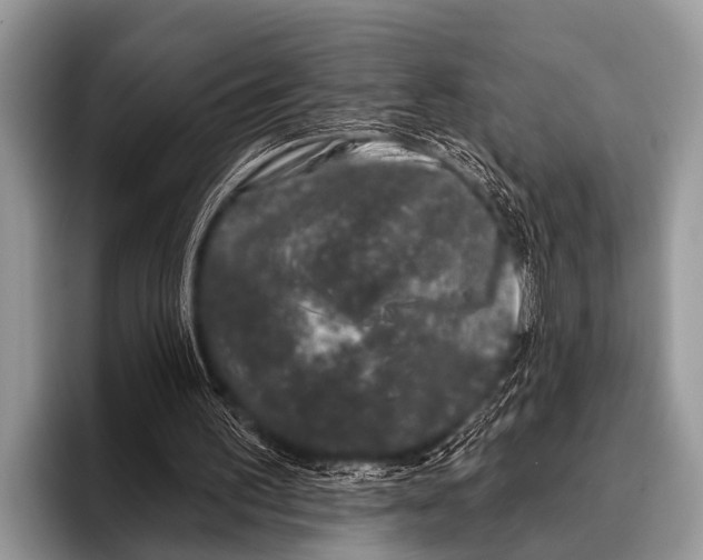 X0000095930195200802081224