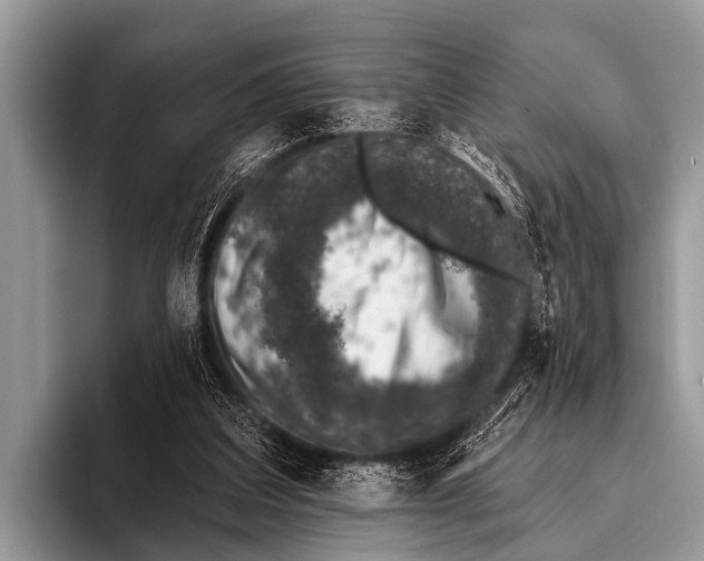 X0000095930203200802081223