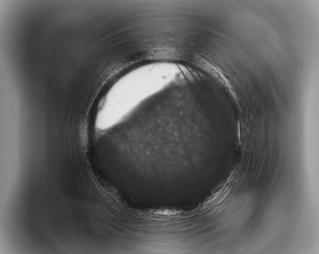 X0000095930204200802081223