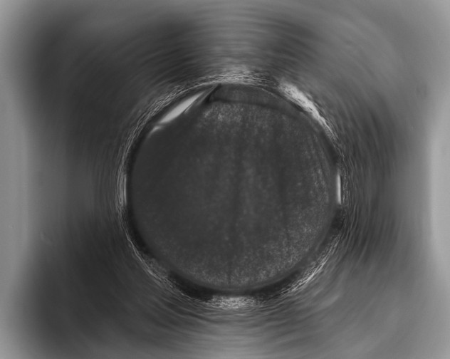 X0000095930205200802081223
