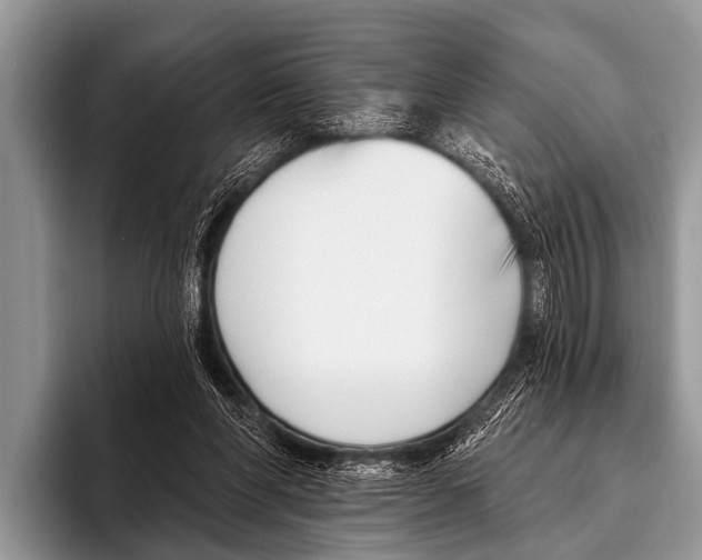X0000095930206200802081223