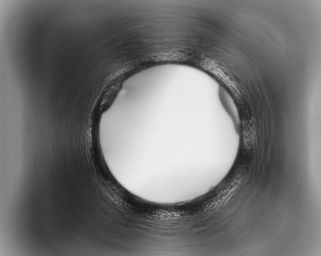 X0000095930207200802081223