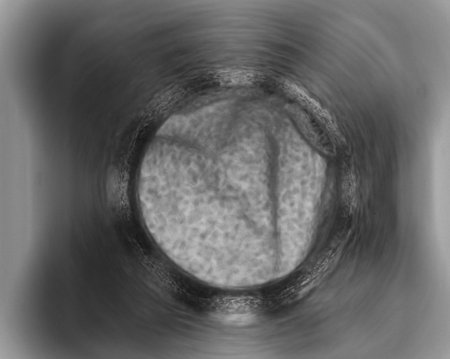 X0000095930209200802081223