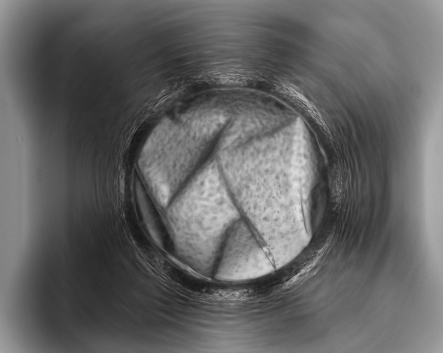 X0000095930213200802081223