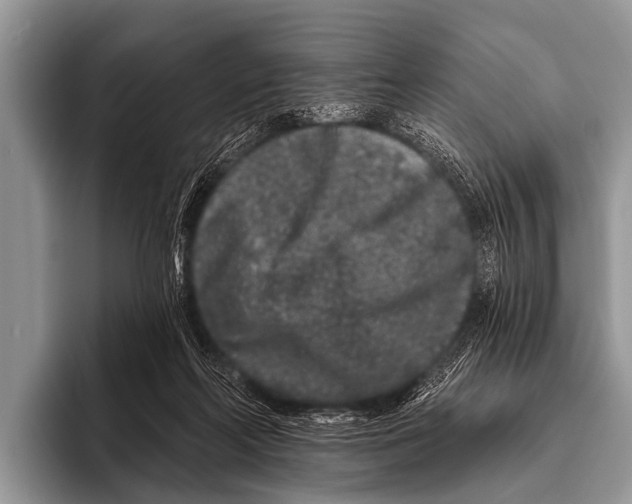 X0000095930214200802081223