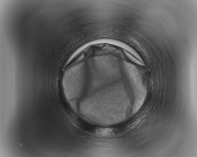 X0000095930217200802081223