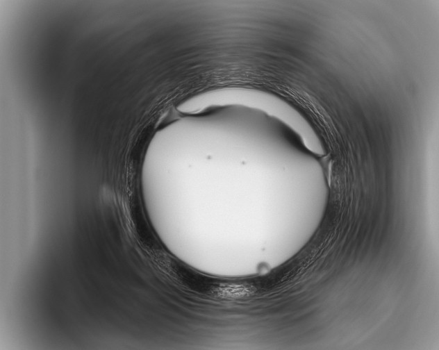 X0000095930218200802081223