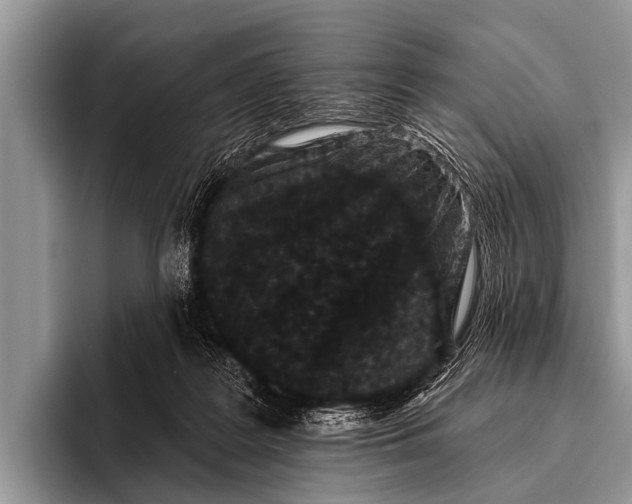 X0000095930219200802081223