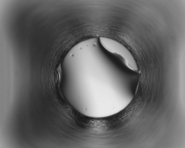 X0000095930221200802081223