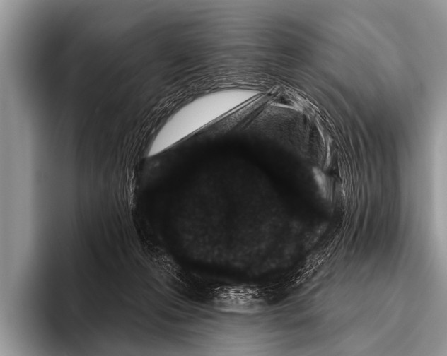 X0000095930223200802081223