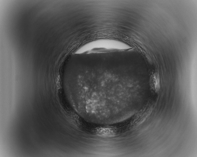 X0000095930224200802081223