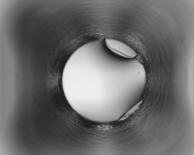 X0000095930225200802081223