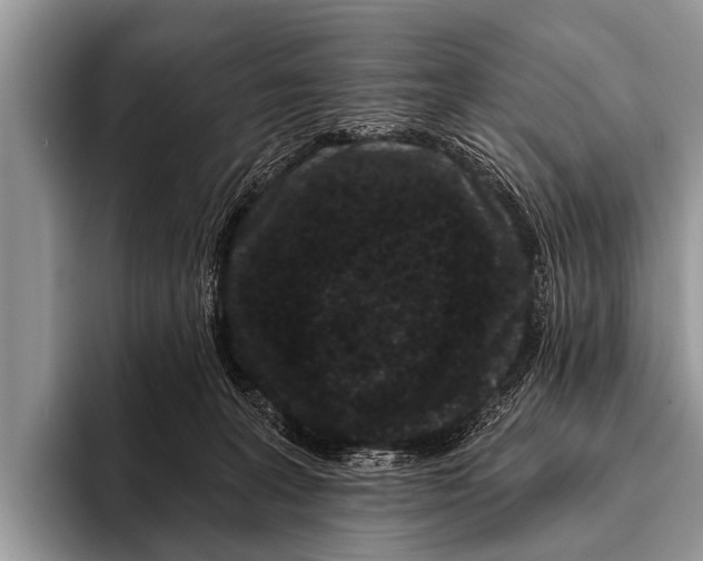 X0000095930227200802081223