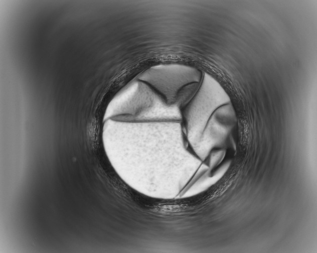 X0000095930228200802081223