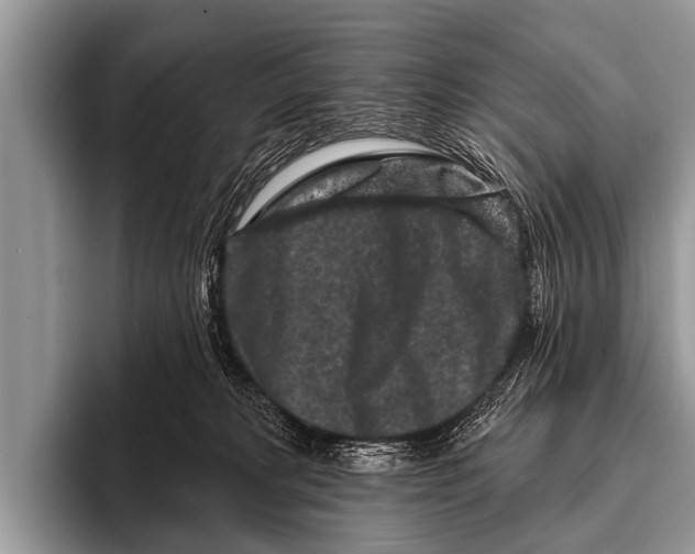 X0000095930229200802081223