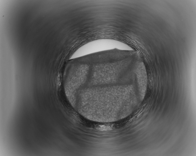 X0000095930232200802081223