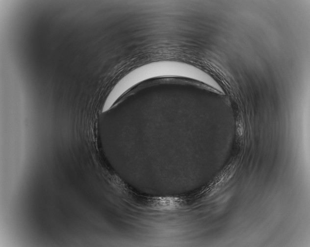 X0000095930233200802081223