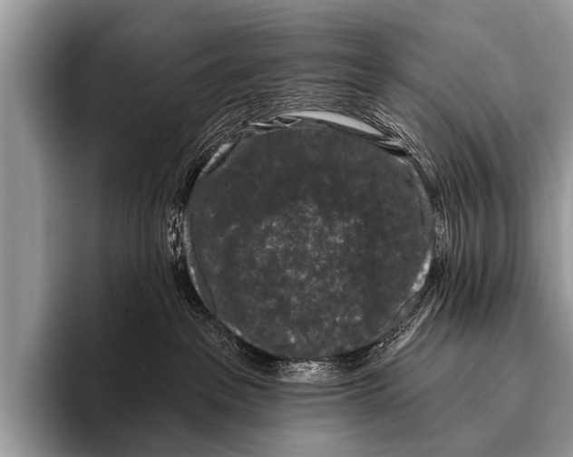 X0000095930237200802081223