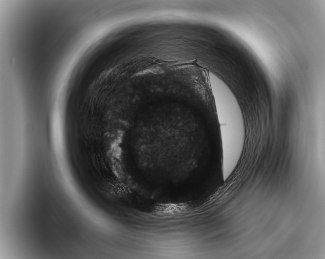 X0000095930239200802081223