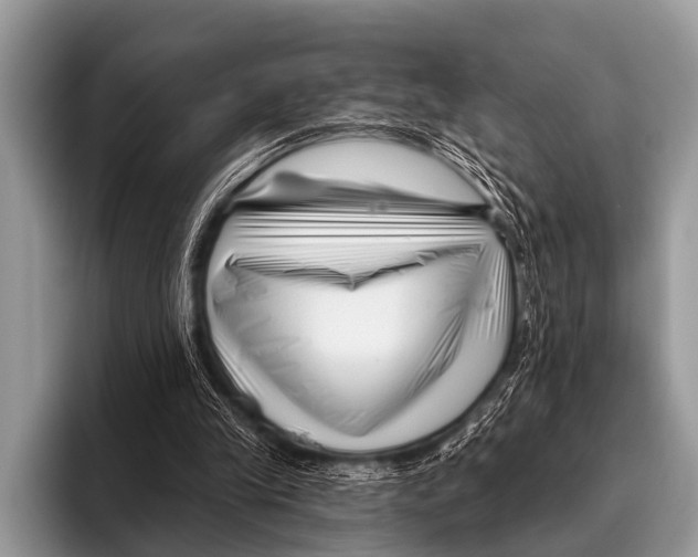X0000095930245200802081222