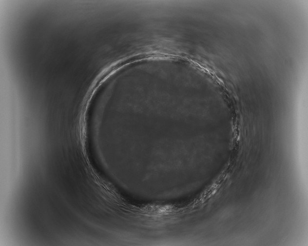 X0000095930247200802081222