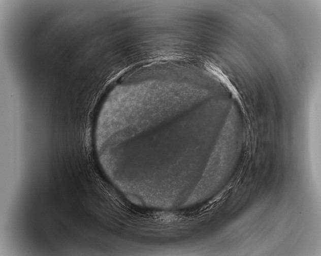 X0000095930249200802081222