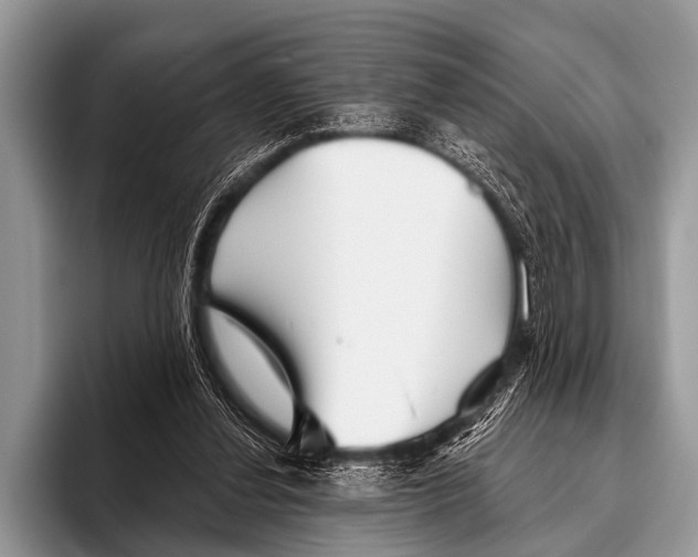 X0000095930252200802081223