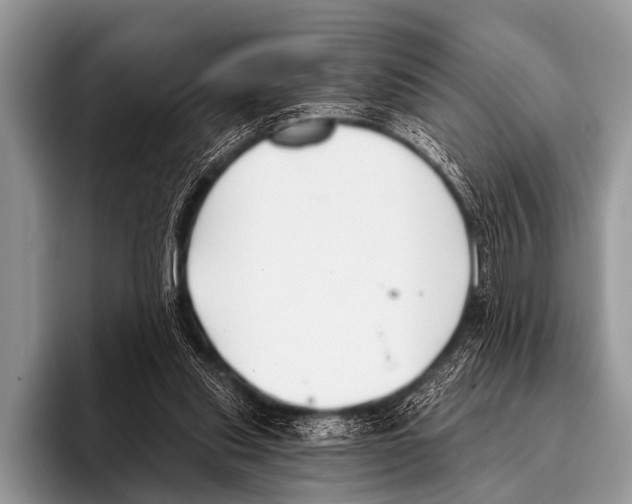 X0000095930253200802081223