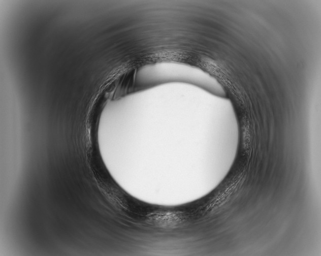 X0000095930254200802081223