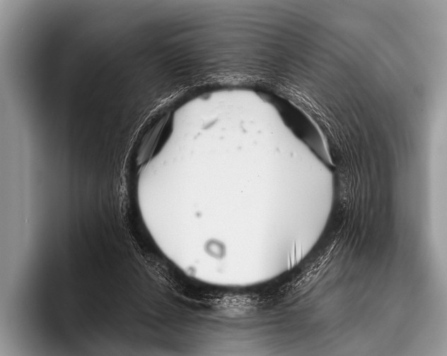 X0000095930256200802081223