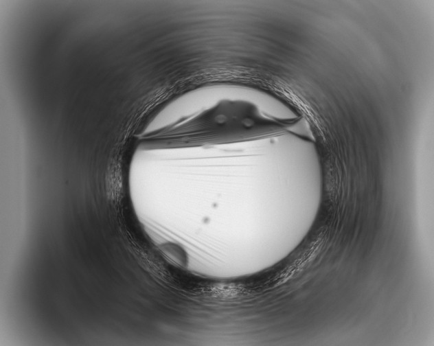 X0000095930261200802081223