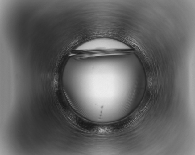 X0000095930264200802081223
