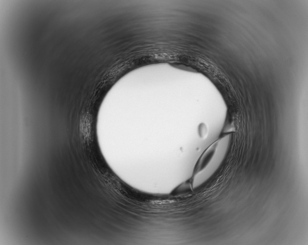X0000095930266200802081223