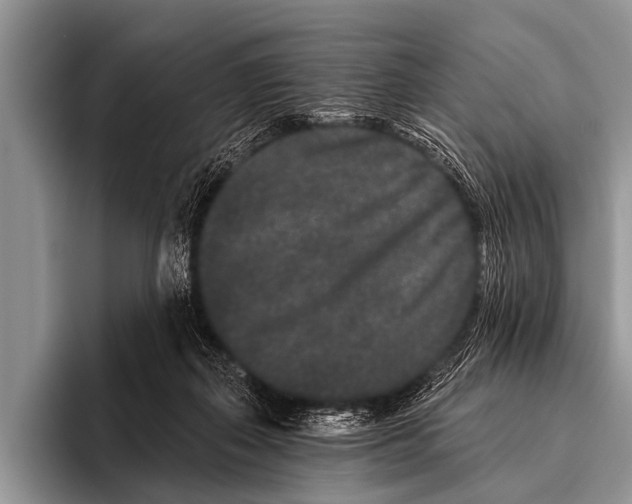 X0000095930267200802081223