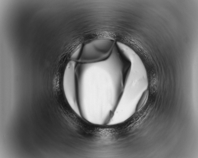 X0000095930268200802081223