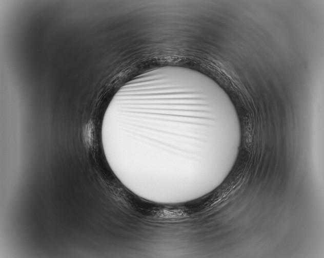 X0000095930270200802081223
