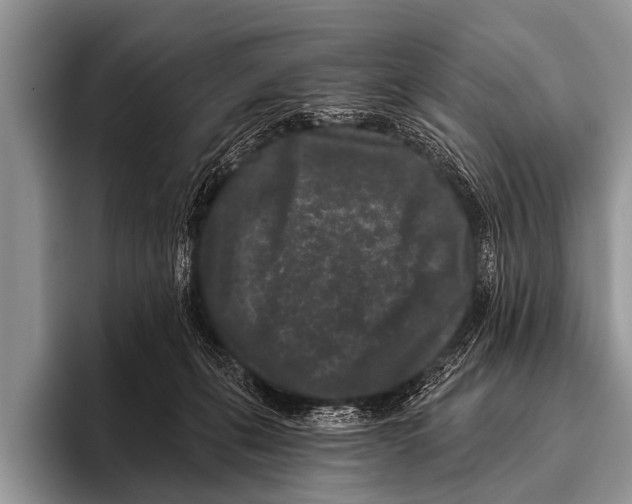 X0000095930271200802081223