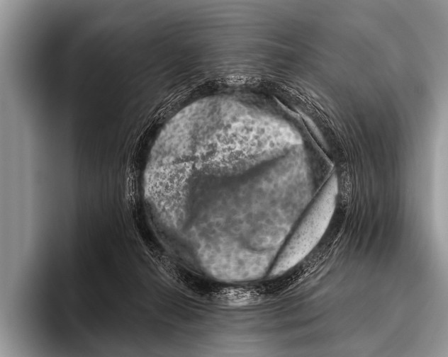 X0000095930272200802081223