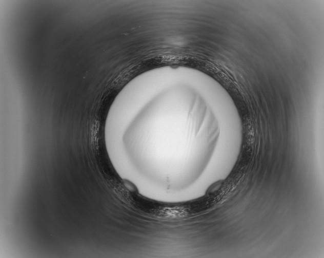 X0000095930275200802081223