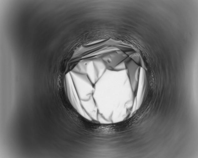 X0000095930280200802081223