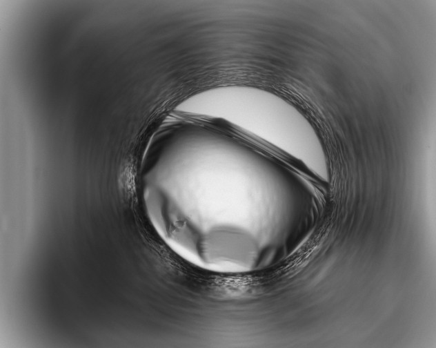 X0000095930282200802081223