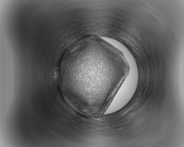 X0000095930284200802081223